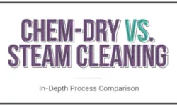 chemdry vs steam cleaning