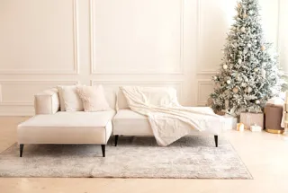 TIPS FOR CLEAN AREA RUGS DURING THE HOLIDAYS